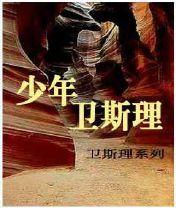 少年卫斯理在线阅读