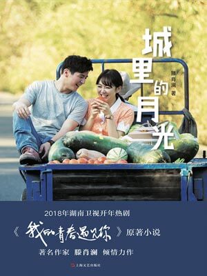 城里的月光(我的青春遇见你)在线阅读