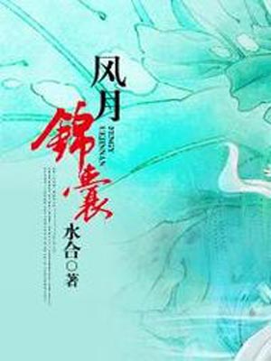 风月锦囊在线阅读