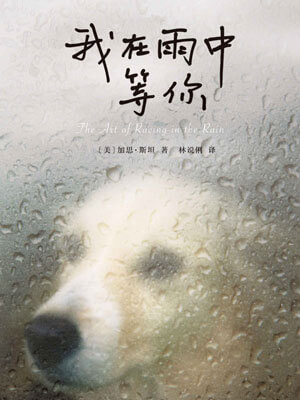 我在雨中等你在线阅读