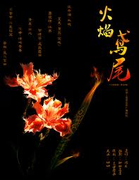 火焰鸢尾在线阅读